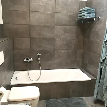 Aparthaus Felizitas 아파트 Groß-Gerau